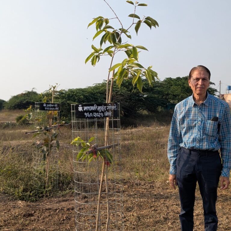 WhatsApp Image 2025-12-01 at 11.28.28_7f154186